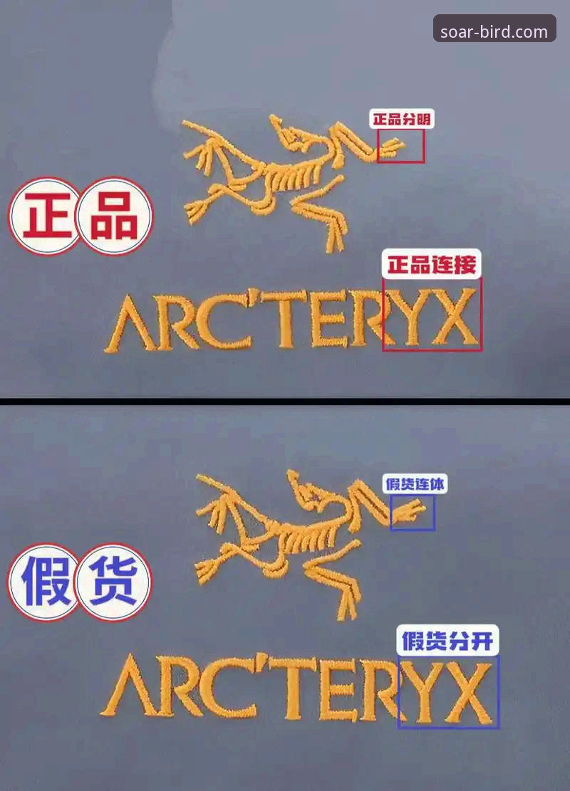 小鸟BIRD正版 vs 仿冒版:哪个更适合飞行体验?A3K8使用教程全面对比