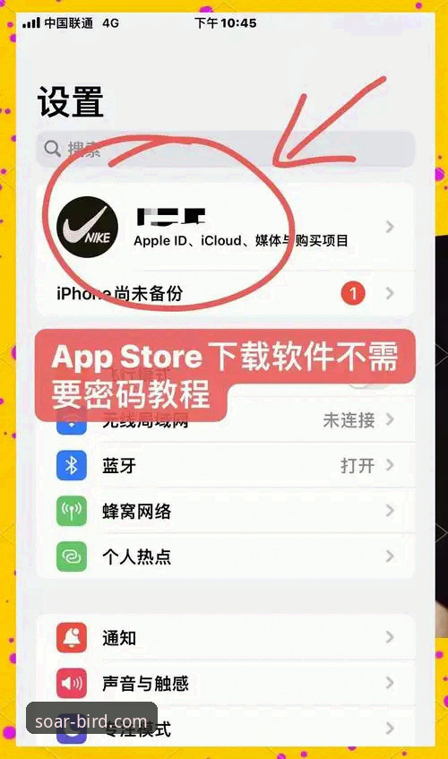 如何正确完成小鸟BIRD怎么下载?从官网获取到安装配置全解析